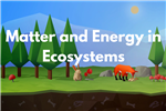 Matter and Energy in Ecosystems Order Form 